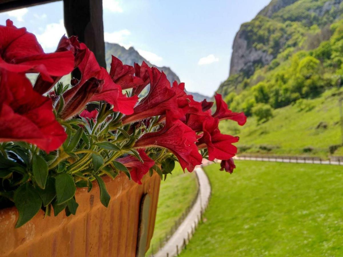 Casa Gelina Villa Corras de la Puente Dış mekan fotoğraf